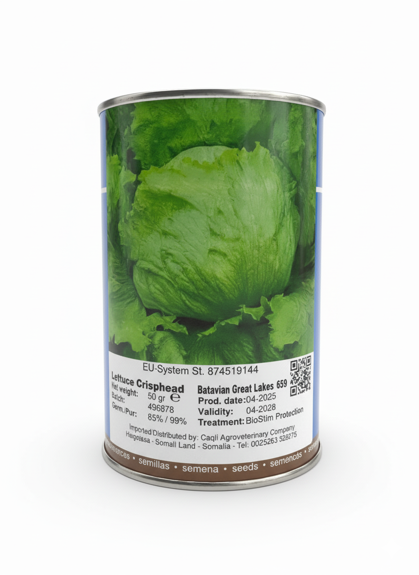 Lettuce Batavian Great Lakes 50g